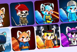 Introducing the Red Panda Squad!