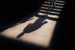 Light in the Shadow, Shadow in the Light