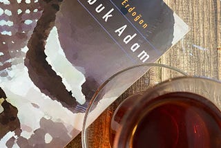 Kabuk Adam | Kitap Yorumum