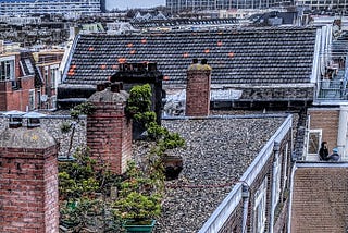 屋頂上的森林 Forest on the rooftop