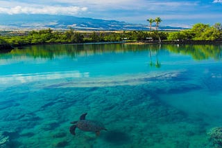 Best Time to Visit Maui: Discover the Perfect Time for Your Hawaiian Adventure