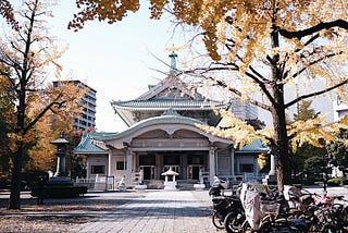 Ginkgo Views in Tokyo