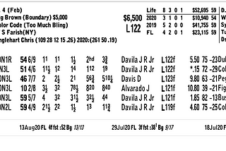 Horse Betting vs. Data Science