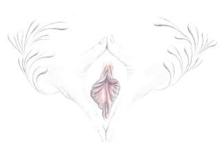 A drawing of a vulva surrounded by a hand gesture that resembles the womb.