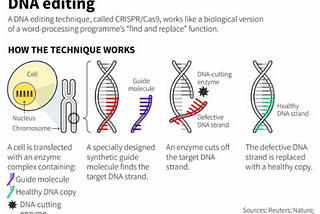 Ethical Implications of Genetic Editing in Response to Advancing Technology