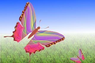 two colorful butterflies in flight