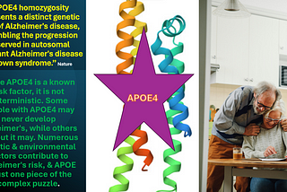 The Spotlight on APOE4: Emerging & Compelling Evidence on the Genetic Aspects of Alzheimer’s