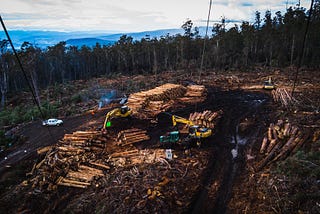 Native Forest Logging — End Now