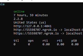 How to expose a local web server to the internet fast and easy with ngrok