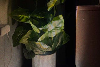 A Day in My Life (8–9 Nov 2025)