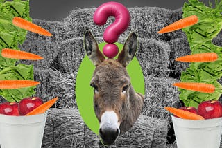 4 Thought Experiments on Free Will