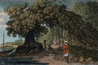 Water colour painting of a tress near a river. 2 people in its shade, another person walking away.