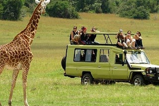 6 TAGE PRIVATE SERENGETI-SAFARI: DIE BESTE PRIVATE SAFARI-TOUR IN TANSANIA