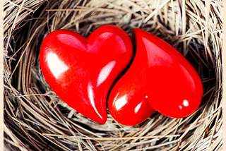 Two heart shaped red images, snuggly fitting together in a birds nests, representing oneness and compatibility in love.