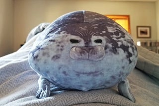 The seal pillow on the author’s bed.