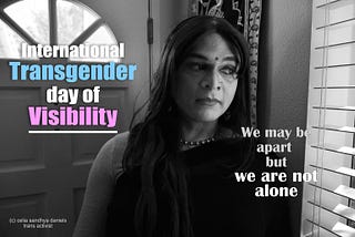 Trans Visibility Matters during crisis