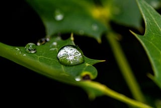 The Raindrop’s Journey