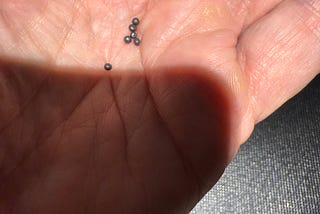 A close-up of a hand holding several small, round, dark gray or black pellets. These pellets are uniform in shape and size, and could possibly be lead shot (e.g. from shotgun shells), ball bearings, or industrial beads.