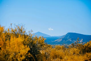 Looking forward to fall in the southwest