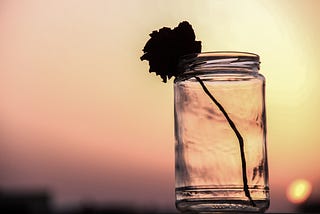 Foto de um pote de vidro com uma flor dentro e ao fundo vemos o céu meio rosado e o que parece ser o sol bem ao fundo.