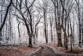Winter