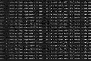 ParaState Testnet Node Setup