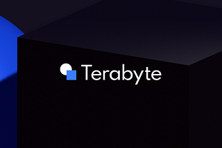 Introducing Terabyte Capital