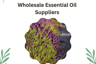 How To Find Wholesale Essential Oil Suppliers: A Comprehensive Guide