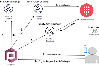 Sharing Project: Paswordless Authentication Flow in Cognito with TokenChannel.io