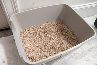 Cat Litter is Hopeless