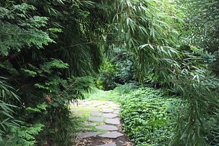 Finding Our Way Home to Soul