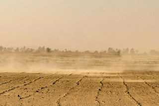 A BOWL OF DUST