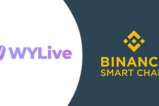 Confirm to develop WYL tokens based on Binance Chain (BSC)