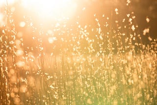 Igniting Your Inner Sun: Embracing the Warmth Within When It’s Cold Outside