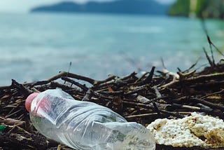 “We need to move away from plastic as waste in the economy to move towards systemic change”
