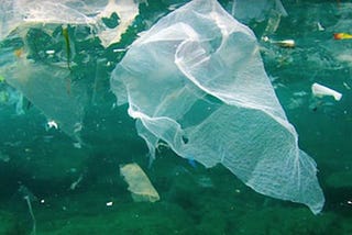 POLYTHENE BAN IN BANGLADESH