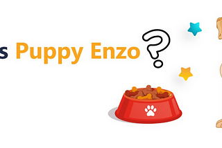 PUPPY ENZO | Decentralized, Community-backed Launchpad, NFT, DeFi and Meme Token