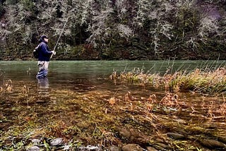 A steelhead angler in the North Fork Lewis River near Woodland, Wash.