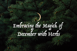 Embracing the Magick of December with Herbs