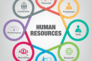 Exploring the Different HR Career Paths