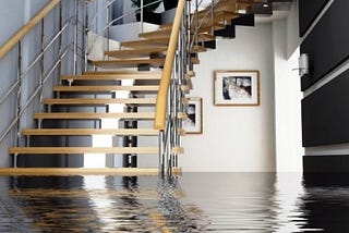 Water Flood and Mold Damage Restoration Services