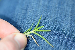 Go Touch Grass