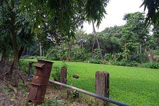 An old letter box standing on a deserted place with one fauna fed pond