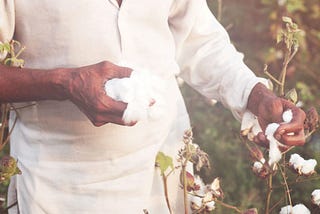 Egyptian Cotton: The Origins.