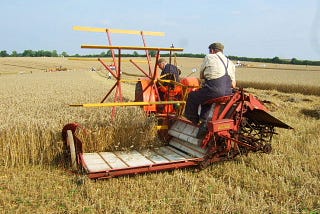 Hay, Harvests, Hedging and Honey