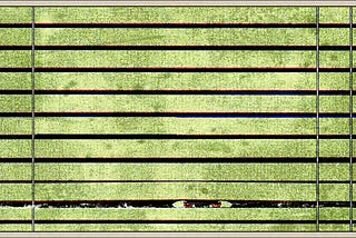 Eyes peeping through venetian blinds