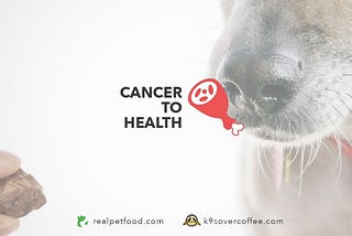 From Cancer to Health with a Raw Diet