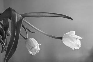 The new business cycle embracing uncertainty