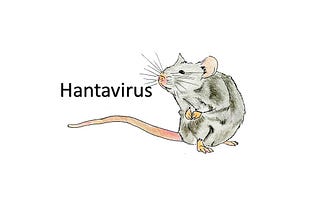 Yesterday, Man Dies in China from HantaVirus