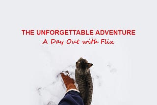 The Unforgettable Adventure: A Day Out with Flix